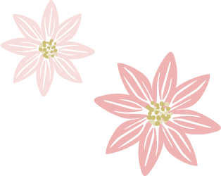 ピンクの花