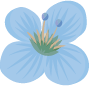青い花