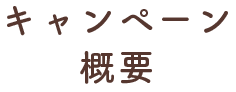 キャンペーン概要