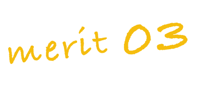 merit03