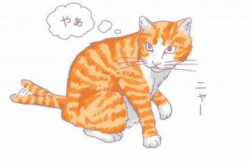 猫語 前編