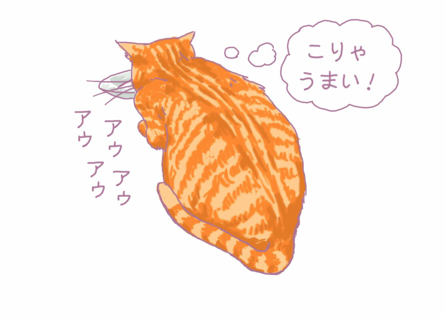 獣医が教える 鳴き声で気持ちを読み取る 猫語 会話教室 前編 Chintai情報局 Part 2 獣医が教える 鳴き声で気持ちを読み取る 猫語 会話教室 前編 Chintai情報局 Part 2