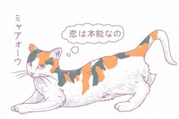 猫語　後編