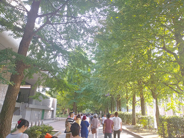 上野公園の新緑