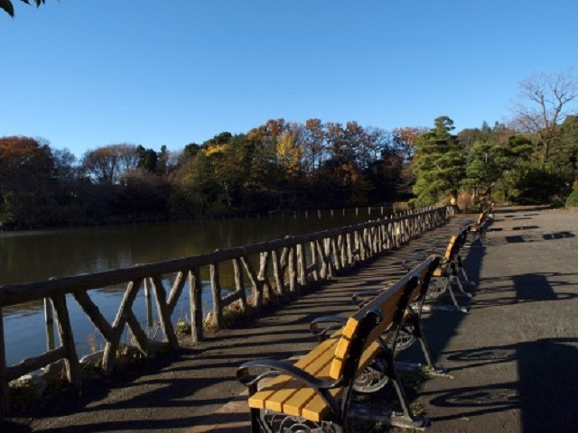 荻窪駅にほど近い善福寺公園