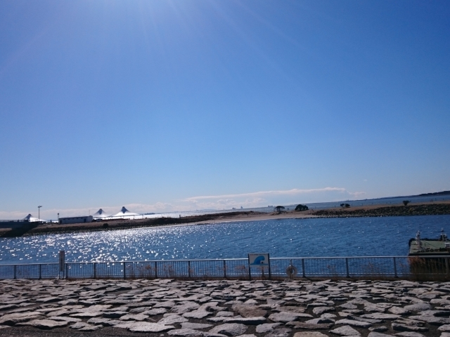 西葛西の海沿いの風景