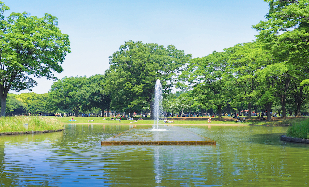 代々木公園の噴水