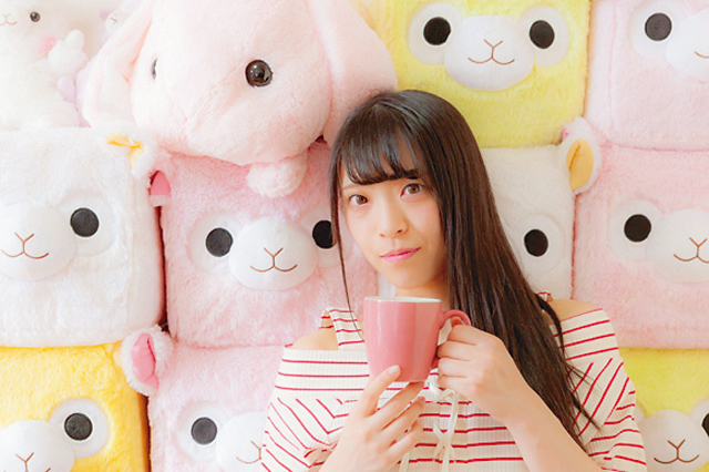 矢野さんの部屋中を埋め尽くす「アルパカッソ」