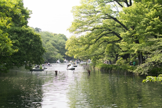 井の頭公園までも徒歩15分程度|三鷹駅周辺の住みやすさは? 実際に暮らす住人の評価を聞いてきた