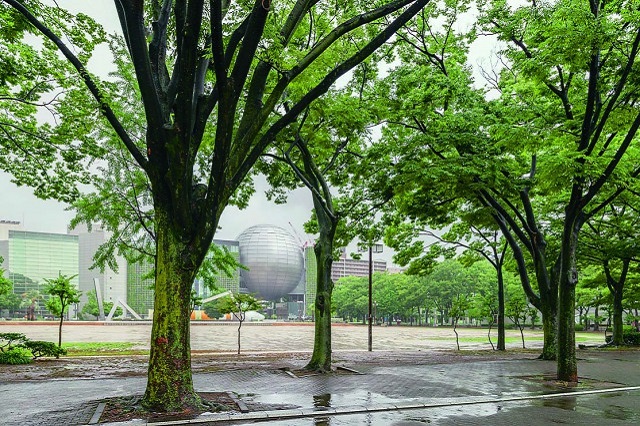 白川公園。100m道路の一つ、若宮大通沿いにある都市公園