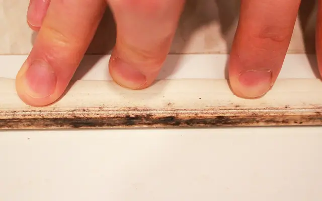 浴室ドアの枠の内側にカビ発見!