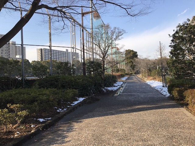 ウォーキングや散歩にぴったりの遊歩道もある|西葛西