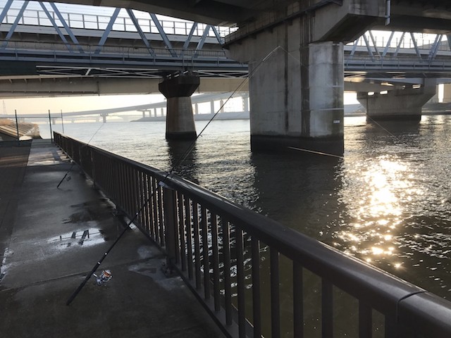 荒川(西葛西と接している部分は厳密には中川)河口域は絶好の釣りポイント