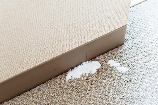 重曹は少し多いかな？というくらいかけてOK｜退去時にしっかり掃除を！ 部屋の汚れを落としてうっかり出費をなくそう