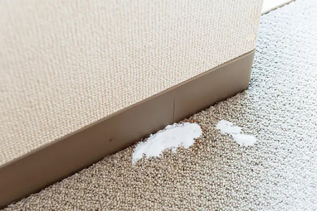 重曹は少し多いかな?というくらいかけてOK|退去時にしっかり掃除を! 部屋の汚れを落としてうっかり出費をなくそう