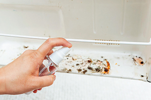 少し離れたところから噴射｜退去時にしっかり掃除を！ 部屋の汚れを落としてうっかり出費をなくそう