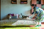 【猫との暮らし】2DKに総勢７匹。猫に囲まれた賃貸暮らしの苦労と喜びを取材してみた
