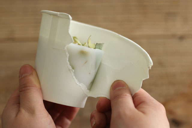 紙コップをむけば、ボタニカルキャンドルの完成!|【賃貸DIY】お部屋のインテリアに!100均グッズでボタニカルキャンドルを作ろう