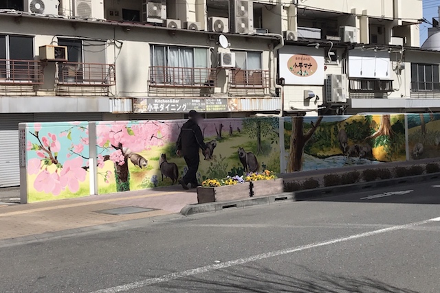 小平の四季折々とタヌキ、タヌキ、ハクビシン……|〝日本一大きい丸ポスト〟のある街・小平はノスタルジック&SNS映えする風景の宝庫だった