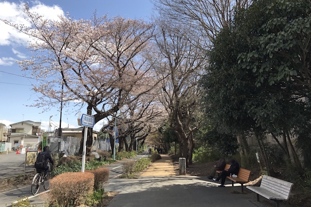 小平グリーンロード(狭山・境緑道)が見えてきた。中央通路は自転車と歩行者専用道になっている|〝日本一大きい丸ポスト〟のある街・小平はノスタルジック&SNS映えする風景の宝庫だった