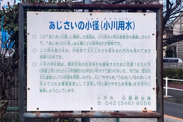 流れのある通路には「あじさいの小径(こみち)」という愛称が付いている|〝日本一大きい丸ポスト〟のある街・小平はノスタルジック&SNS映えする風景の宝庫だった