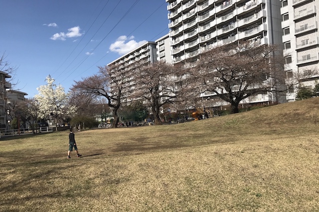 わぁ、広々~!|七小東公園|〝日本一大きい丸ポスト〟のある街・小平はノスタルジック&SNS映えする風景の宝庫だった