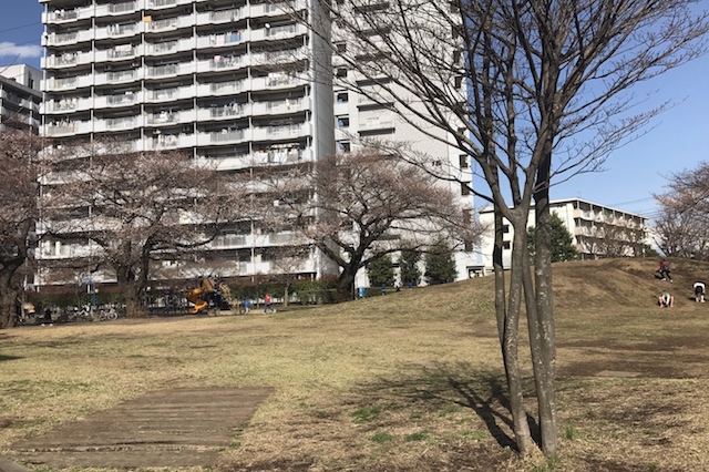 「七小東公園」は桜も咲いていて素晴らしいロケーション|〝日本一大きい丸ポスト〟のある街・小平はノスタルジック&SNS映えする風景の宝庫だった