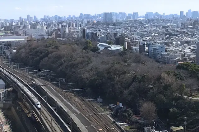 3月初旬の飛鳥山公園。桜が開花すると美しいピンク色に染まることを想像しつつ……|“日本最初の公園”飛鳥山公園がある街・王子を新旧グルメに胸キュンしながら歩いてみた