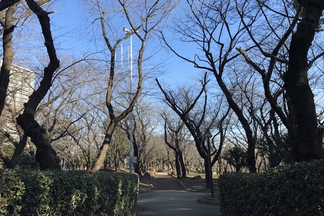 しか~し! 桜の季節にはまだ早かった。見事なまでの冬景色|“日本最初の公園”飛鳥山公園がある街・王子を新旧グルメに胸キュンしながら歩いてみた
