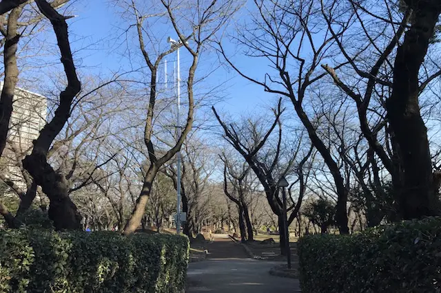 しか~し! 桜の季節にはまだ早かった。見事なまでの冬景色|“日本最初の公園”飛鳥山公園がある街・王子を新旧グルメに胸キュンしながら歩いてみた