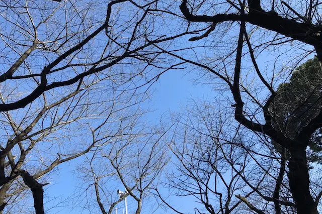 ジョン・レノンも唄っていたじゃないか。想像してごらん……と|“日本最初の公園”飛鳥山公園がある街・王子を新旧グルメに胸キュンしながら歩いてみた