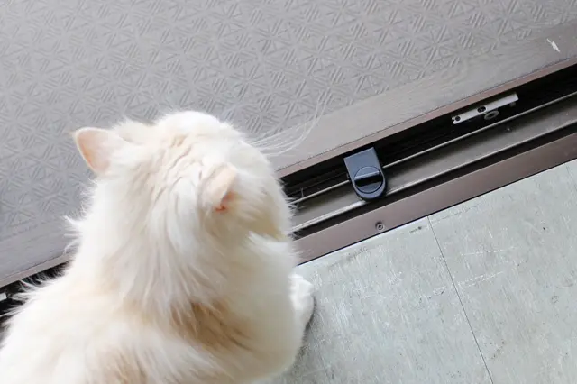 100円ショップの網戸ストッパー。京介がベランダに出ないようしている|【猫との暮らし】人気ねこ・京介の飼い主に聞く!賃貸物件の選び方や長毛種の猫と暮らす工夫