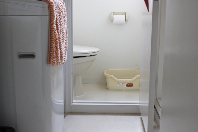 小林さんの家の“トイレinトイレ”。猫たちもお気に入りだそう|【猫との暮らし】都心から練馬のメゾネット賃貸へ引越し。猫が吐かなくなった理由とは?