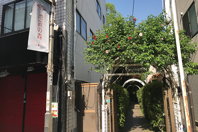 池袋に森が出現!? どうやらここは、池袋平和通り商店街の一角にある、公園「池袋の森」らしい|人気の街・池袋に住むなら銭湯通いがおすすめ!平和湯、ゆラックス、稲荷湯を巡ってきた