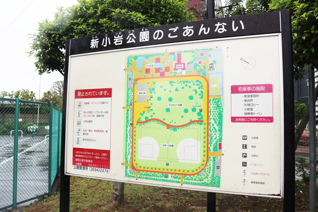 新小岩駅北側に広がる新小岩公園。広場や遊具のほかに野球グラウンドや休憩所なども｜新小岩駅のアクセス事情｜新小岩ってどんな街？駅周辺住民の男女30人に家賃、治安、アクセスなどリアルな声を聞いてみた