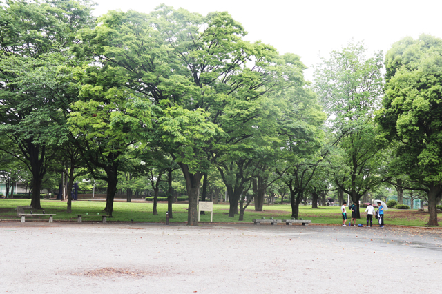 広大な敷地を誇る新小岩公園。子どもたちをのびのび遊ばせることができそう！｜新小岩駅のアクセス事情｜新小岩ってどんな街？駅周辺住民の男女30人に家賃、治安、アクセスなどリアルな声を聞いてみた