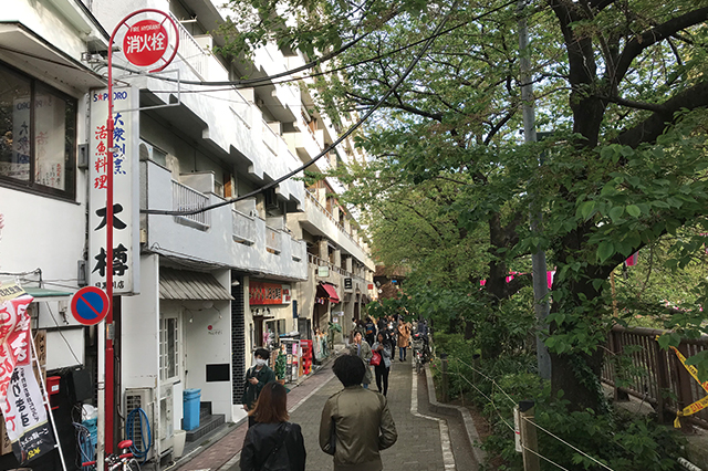 ドラマ『最高の離婚』の舞台となった目黒川沿い|おしゃれな街・中目黒に住むなら銭湯に通おう!光明泉、大黒湯を巡ってきた