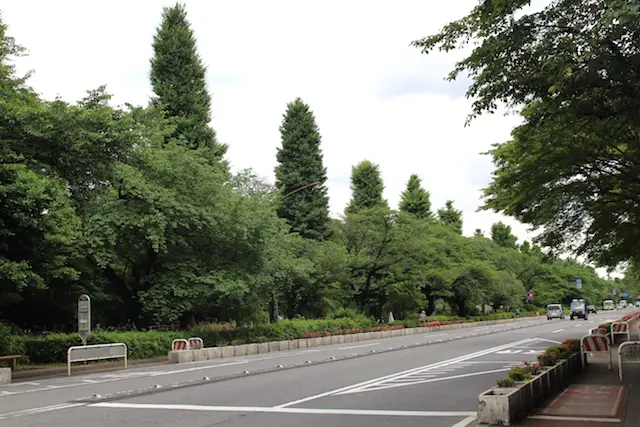 国立大学通り