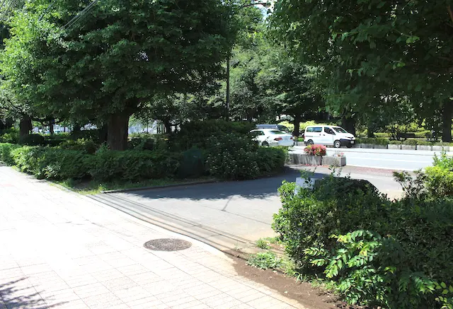 国立大学通りの歩道