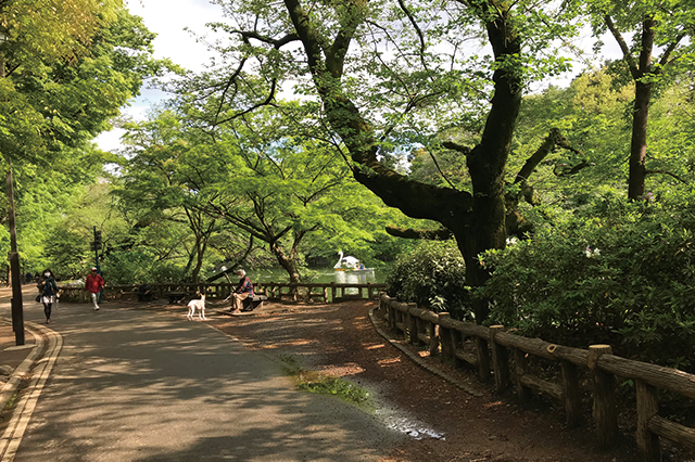 平日の井の頭公園はのんびりムードで最高です|「住みたい街」のド定番!吉祥寺の銭湯・よろづ湯、弁天湯とハーモニカ横丁を巡ってきた!