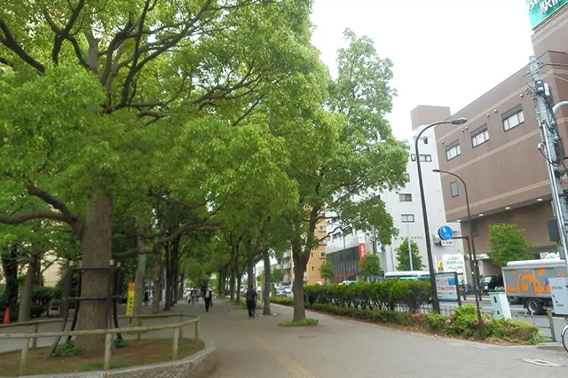 船堀駅南側に伸びる船堀街道沿いの歩道