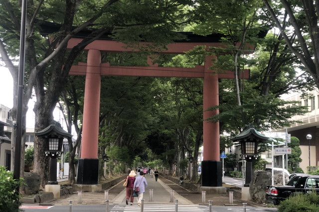 氷川神社の鳥居