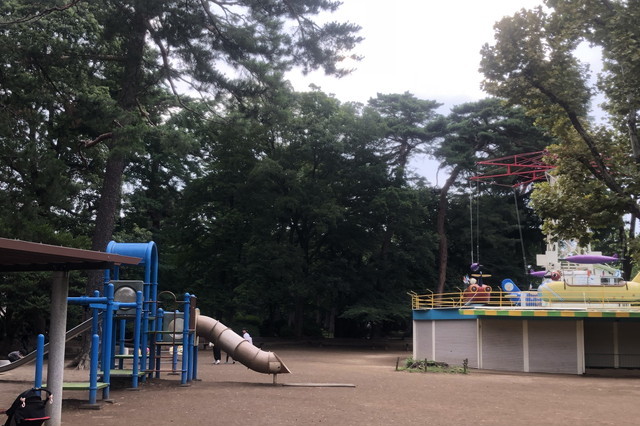 大宮公園の遊具