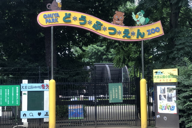 大宮公園の小動物園