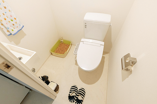 猫用のトイレを置いても十分にスペースのある広いトイレ