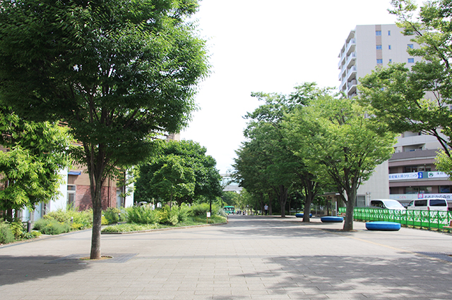 おおたか の 森 住み やす さ