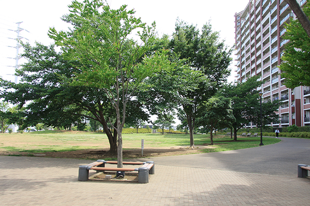 西初石近隣公園