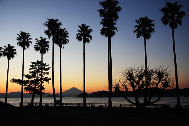 相模湾の景色