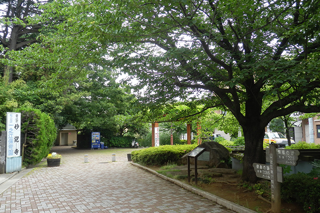 一之江境川親水公園と妙覚寺