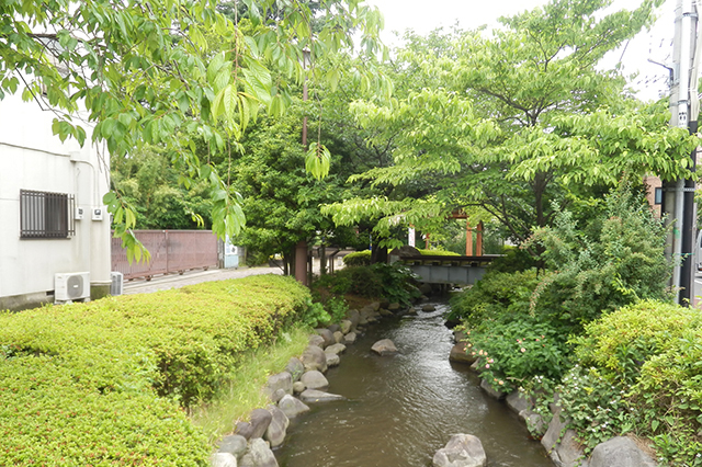 一之江境川親水公園と遊歩道